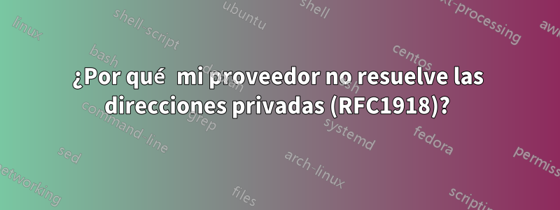 ¿Por qué mi proveedor no resuelve las direcciones privadas (RFC1918)?