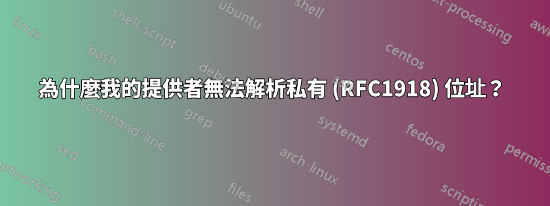 為什麼我的提供者無法解析私有 (RFC1918) 位址？