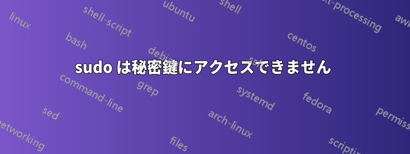 sudo は秘密鍵にアクセスできません