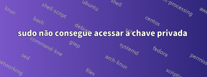 sudo não consegue acessar a chave privada