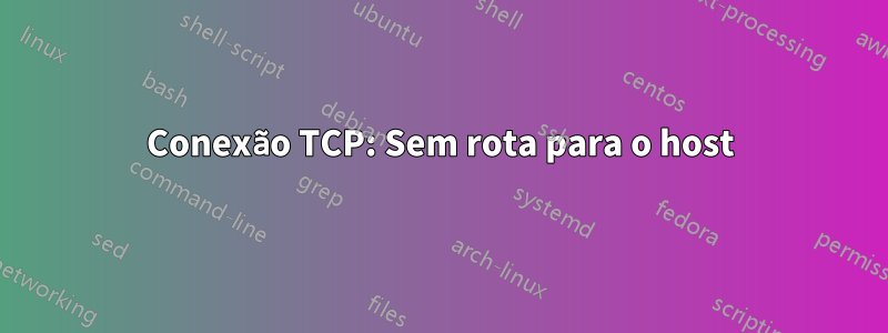 Conexão TCP: Sem rota para o host