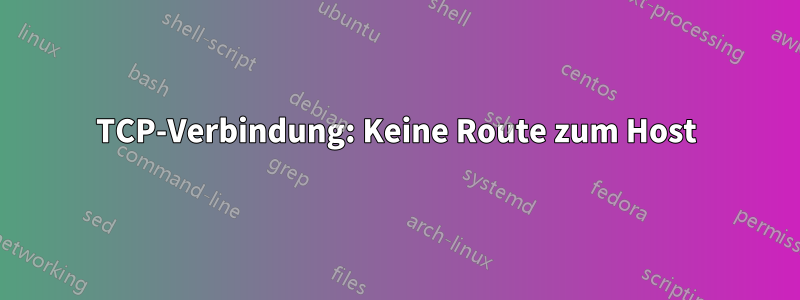 TCP-Verbindung: Keine Route zum Host