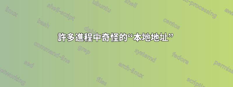 許多進程中奇怪的“本地地址”