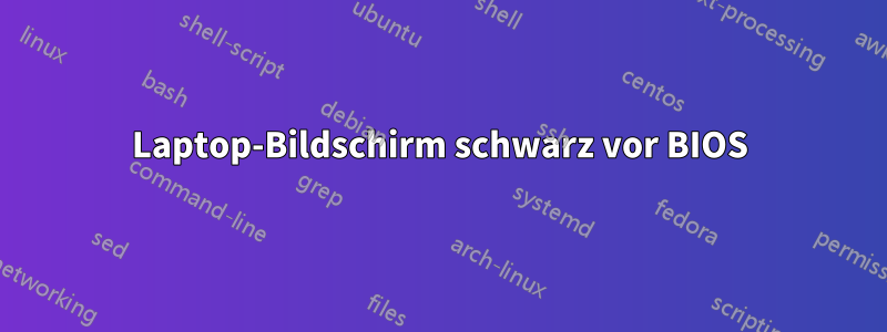 Laptop-Bildschirm schwarz vor BIOS