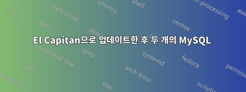 El Capitan으로 업데이트한 후 두 개의 MySQL