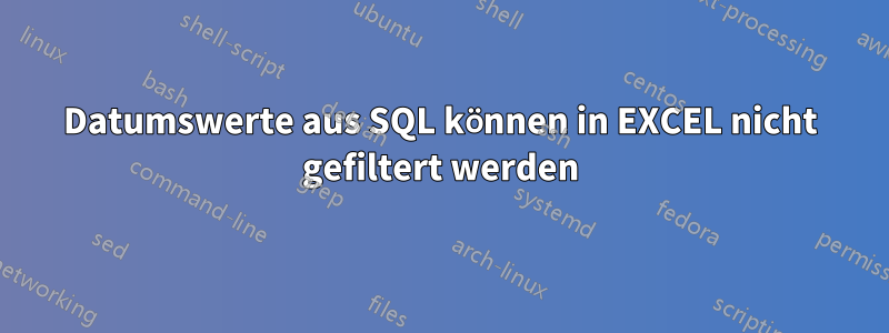 Datumswerte aus SQL können in EXCEL nicht gefiltert werden