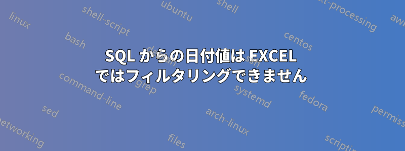 SQL からの日付値は EXCEL ではフィルタリングできません