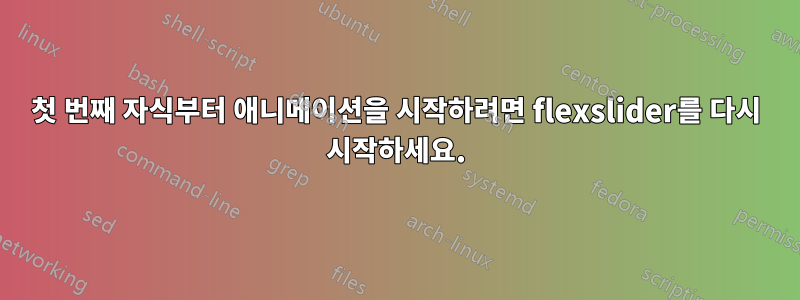 첫 번째 자식부터 애니메이션을 시작하려면 flexslider를 다시 시작하세요.