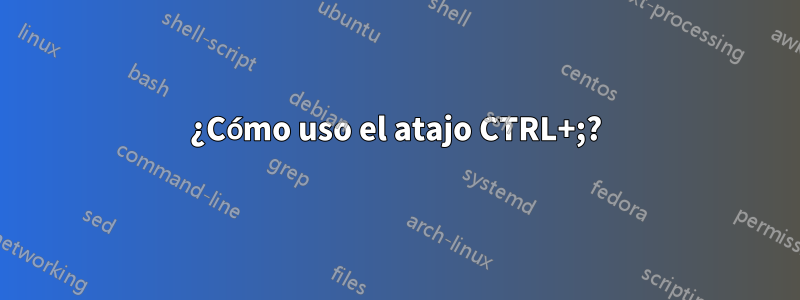 ¿Cómo uso el atajo CTRL+;?