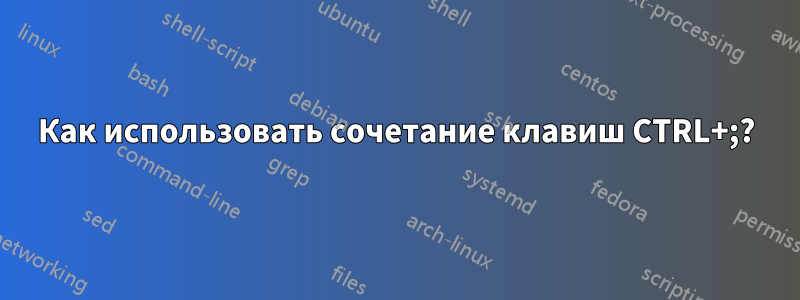 Как использовать сочетание клавиш CTRL+;?