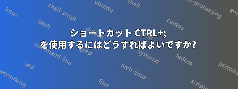 ショートカット CTRL+; を使用するにはどうすればよいですか?