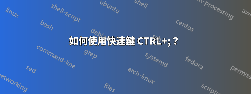 如何使用快速鍵 CTRL+;？