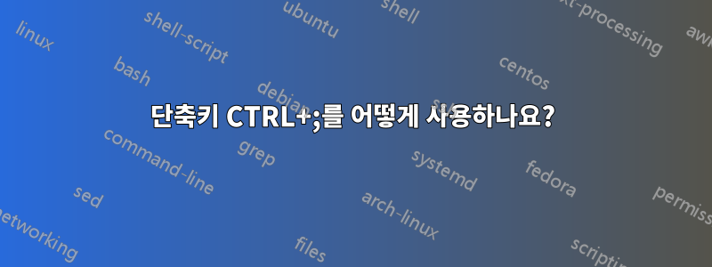 단축키 CTRL+;를 어떻게 사용하나요?