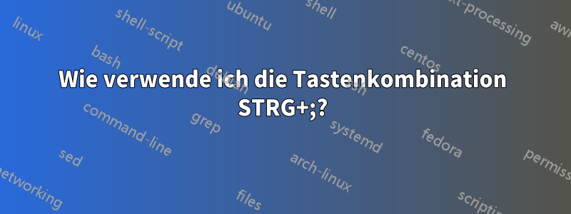 Wie verwende ich die Tastenkombination STRG+;?