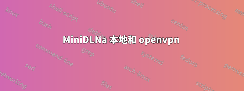 MiniDLNa 本地和 openvpn