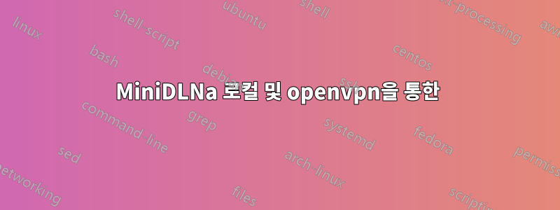 MiniDLNa 로컬 및 openvpn을 통한