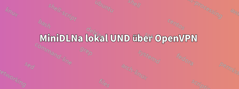 MiniDLNa lokal UND über OpenVPN