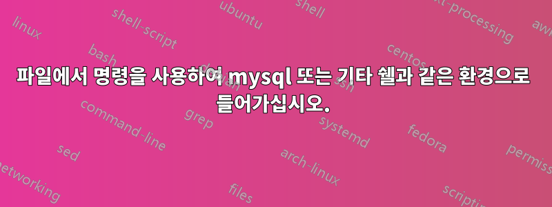 파일에서 명령을 사용하여 mysql 또는 기타 쉘과 같은 환경으로 들어가십시오.