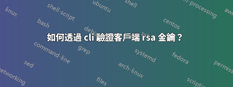 如何透過 cli 驗證客戶端 rsa 金鑰？