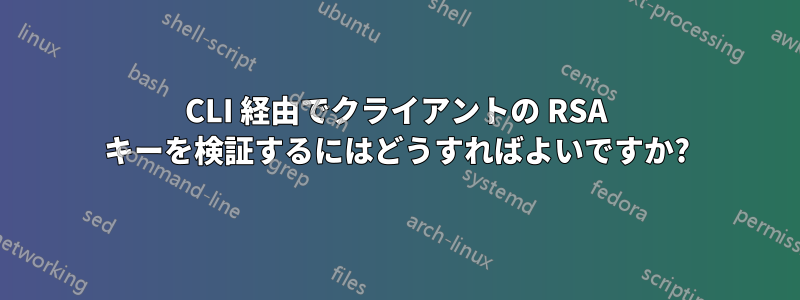 CLI 経由でクライアントの RSA キーを検証するにはどうすればよいですか?