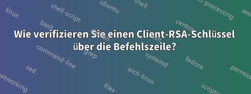 Wie verifizieren Sie einen Client-RSA-Schlüssel über die Befehlszeile?