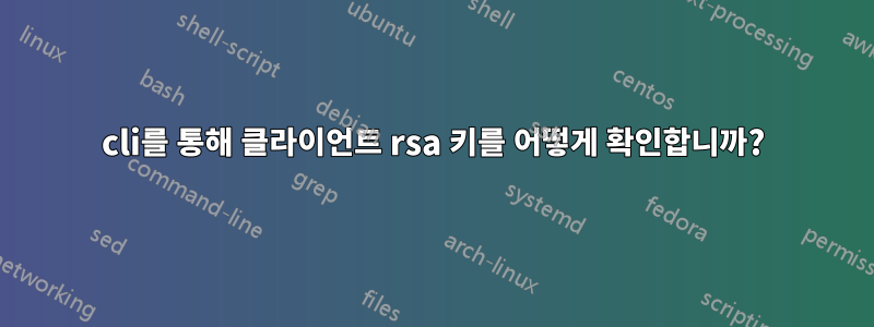 cli를 통해 클라이언트 rsa 키를 어떻게 확인합니까?