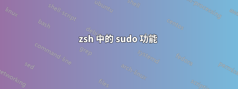 zsh 中的 sudo 功能