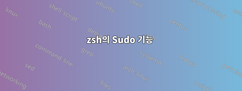 zsh의 Sudo 기능