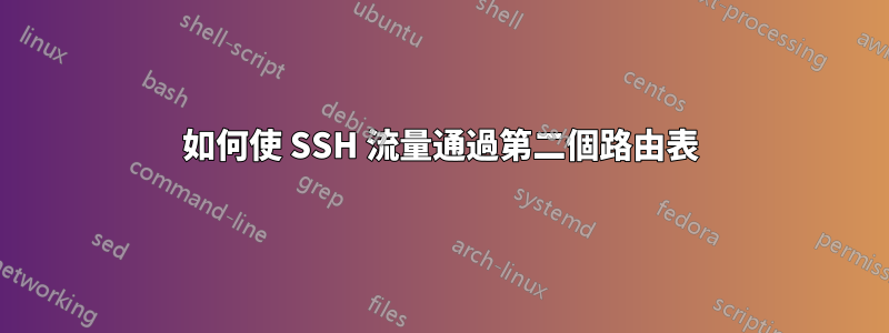如何使 SSH 流量通過第二個路由表