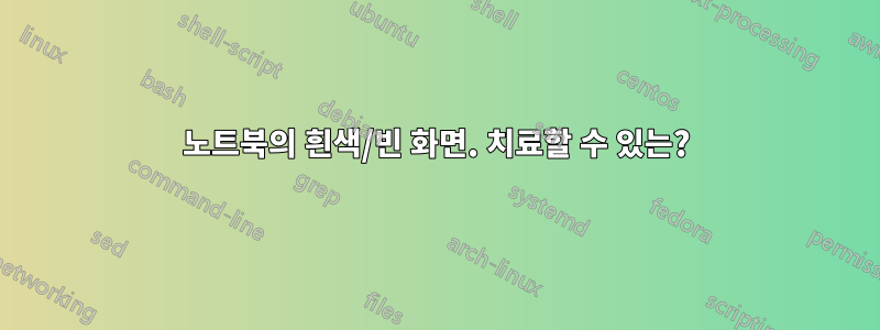 노트북의 흰색/빈 화면. 치료할 수 있는?
