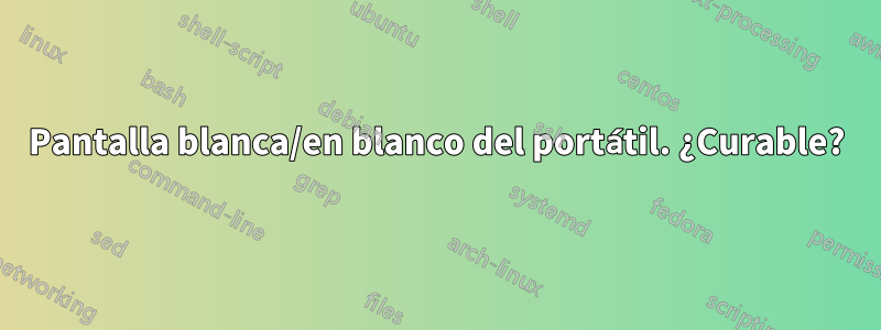 Pantalla blanca/en blanco del portátil. ¿Curable?