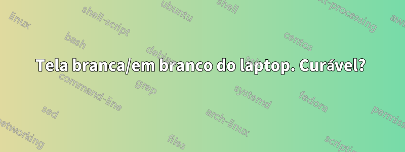 Tela branca/em branco do laptop. Curável?