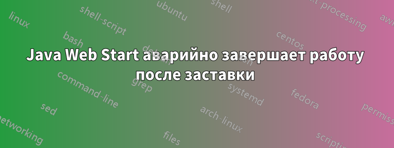 Java Web Start аварийно завершает работу после заставки