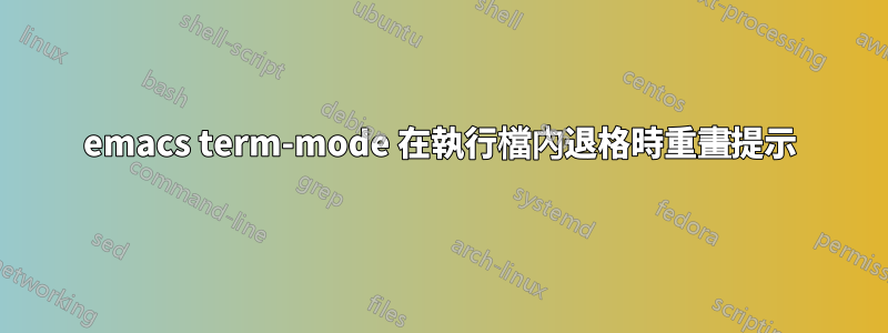emacs term-mode 在執行檔內退格時重畫提示