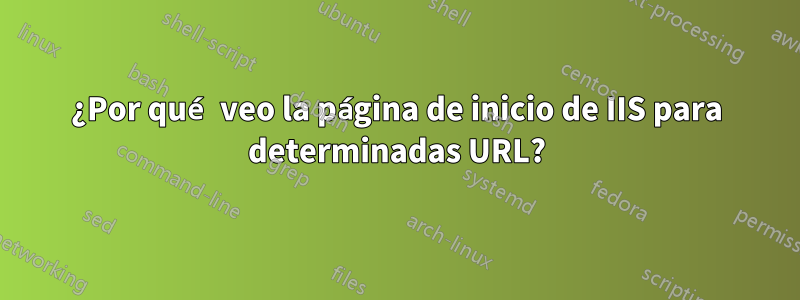 ¿Por qué veo la página de inicio de IIS para determinadas URL?
