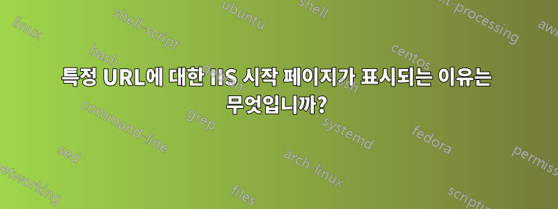 특정 URL에 대한 IIS 시작 페이지가 표시되는 이유는 무엇입니까?