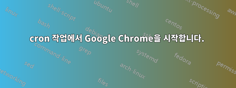 cron 작업에서 Google Chrome을 시작합니다.