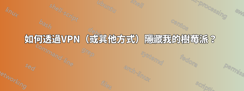 如何透過VPN（或其他方式）隱藏我的樹莓派？