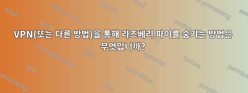 VPN(또는 다른 방법)을 통해 라즈베리 파이를 숨기는 방법은 무엇입니까?