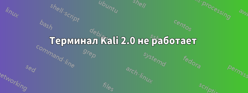 Терминал Kali 2.0 не работает