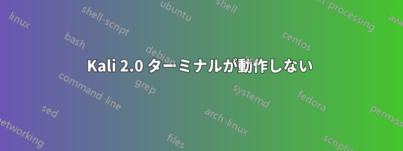 Kali 2.0 ターミナルが動作しない