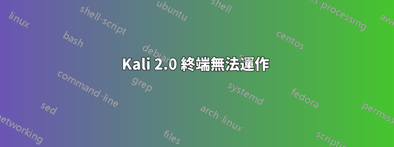 Kali 2.0 終端無法運作