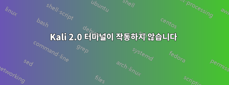 Kali 2.0 터미널이 작동하지 않습니다
