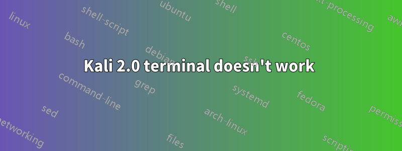Kali 2.0 terminal doesn't work