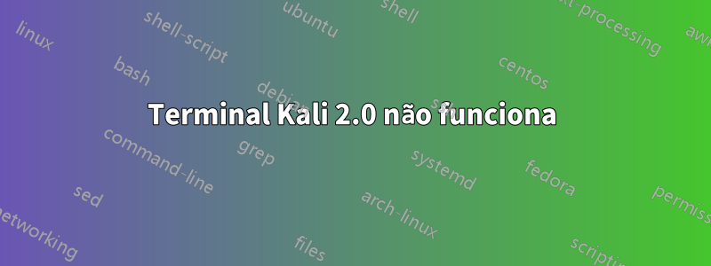 Terminal Kali 2.0 não funciona