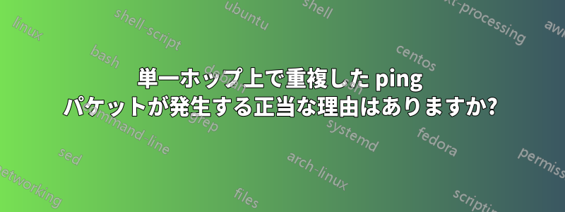 単一ホップ上で重複した ping パケットが発生する正当な理由はありますか?