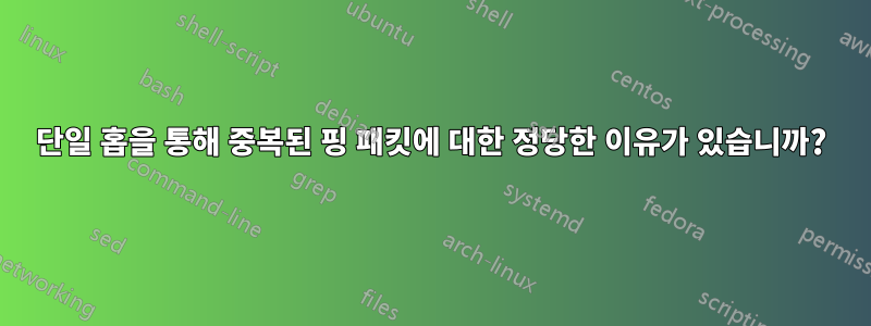 단일 홉을 통해 중복된 핑 패킷에 대한 정당한 이유가 있습니까?
