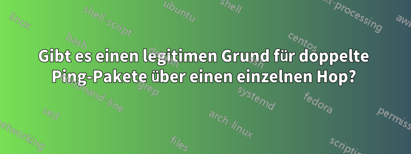 Gibt es einen legitimen Grund für doppelte Ping-Pakete über einen einzelnen Hop?