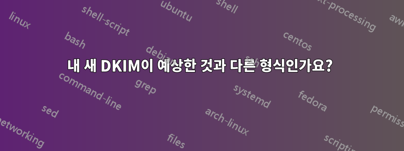 내 새 DKIM이 예상한 것과 다른 형식인가요?