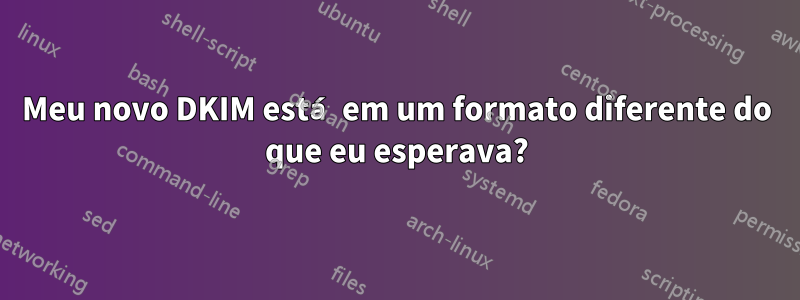 Meu novo DKIM está em um formato diferente do que eu esperava?